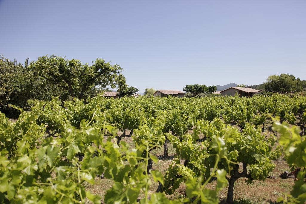 Domaine Des Bridoux Village De Gites Mirabel-aux-Baronnies Exterior foto